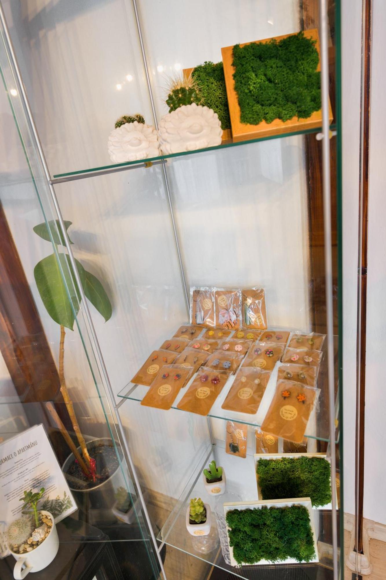 Green Garden Decin Bagian luar foto