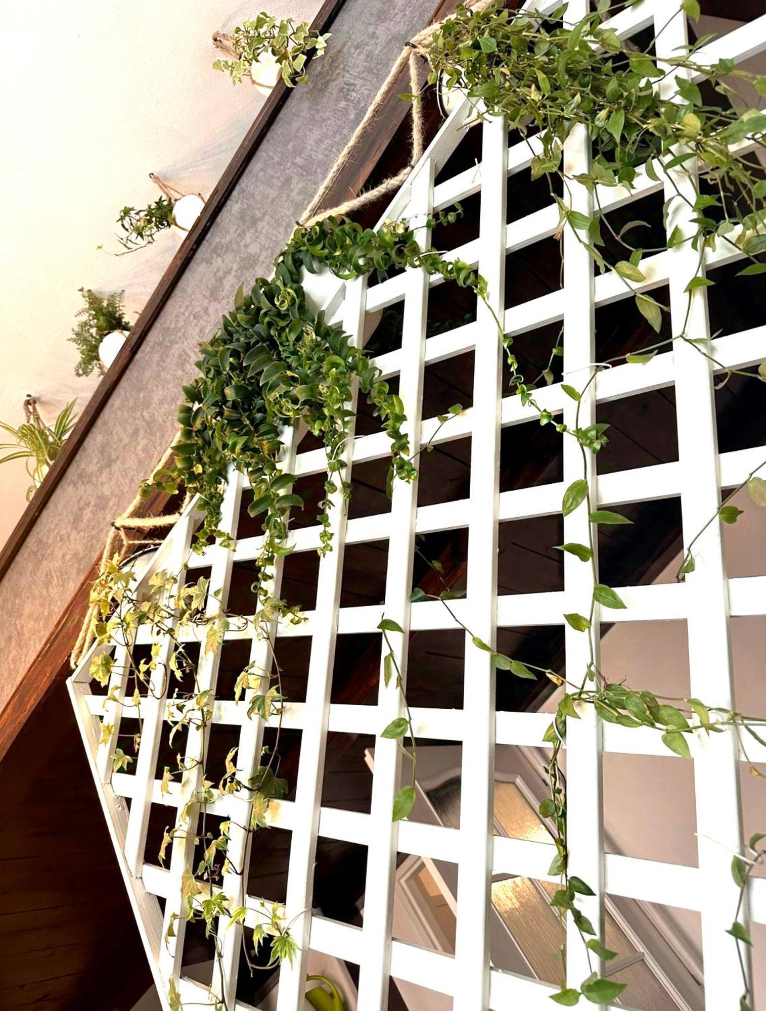 Green Garden Decin Bagian luar foto